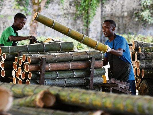 90% Material Utilization Rate! Southeast Asian Bamboo Enterprises Boost Profits by 30% with This Equipment